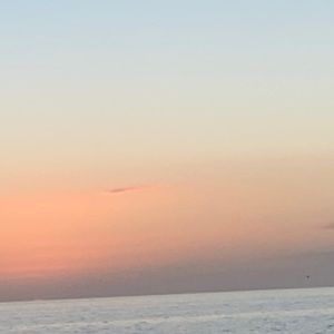 Meet your Posher, Bella